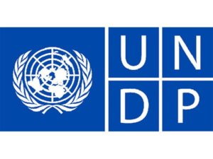 United-Nations-Development-Programme-UNDP-300x225